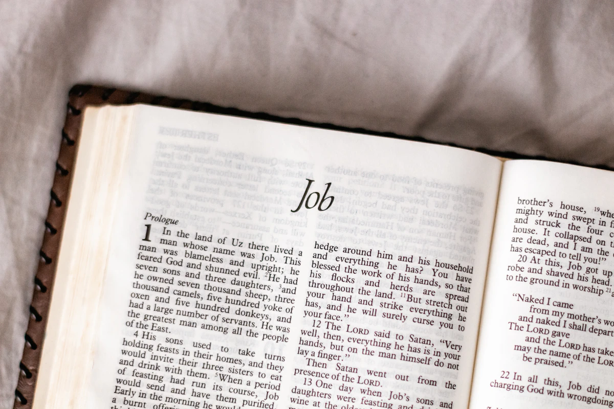 The Reality of Remote Job Boards: Which Ones