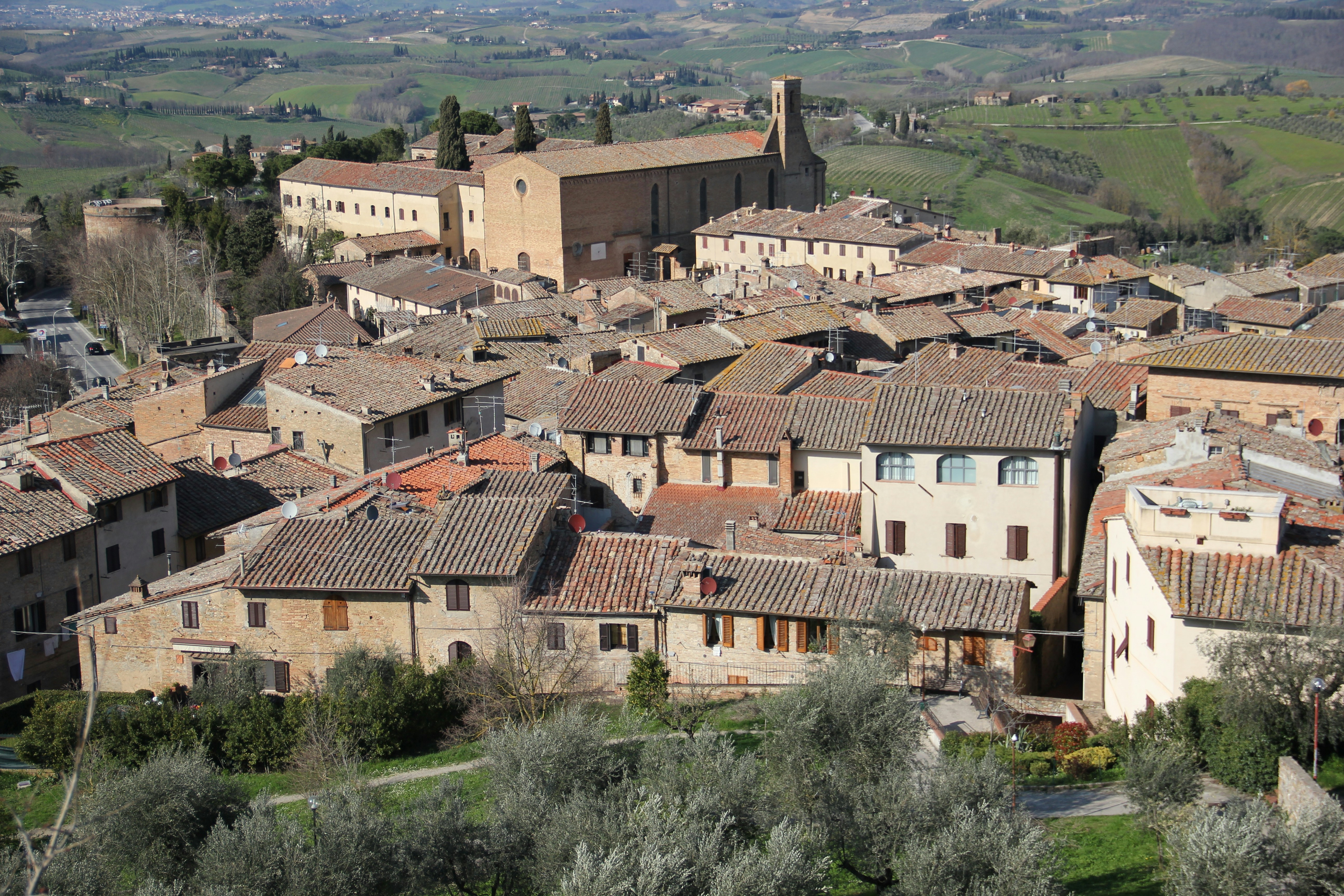 Photo by shalevcohen