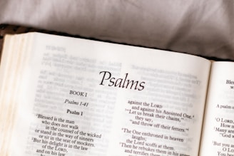 white printer paper on pink textile