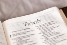 white printer paper on pink textile