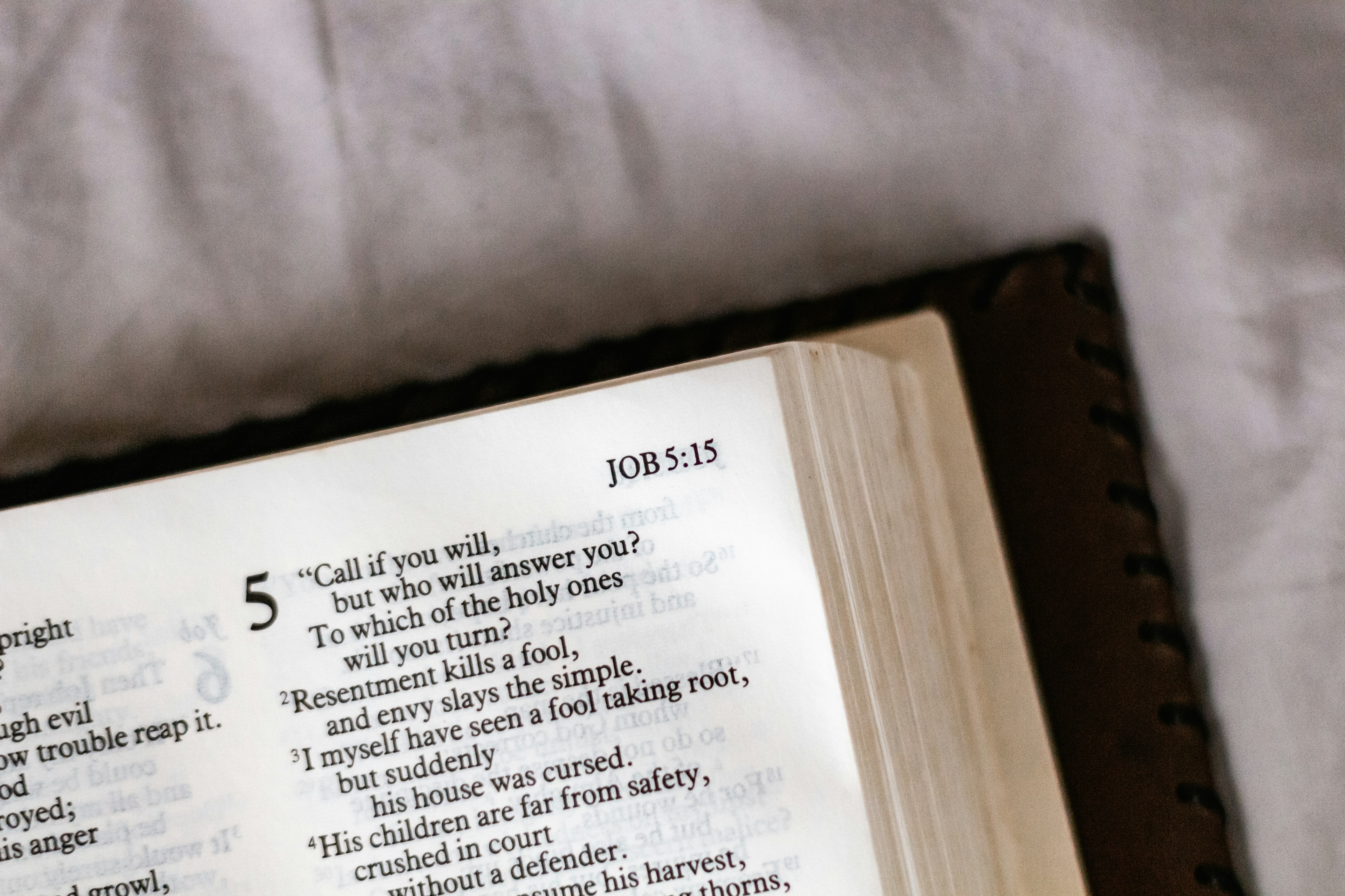 Best Bible Quotes That Will Truly Lift Your Soul Today
