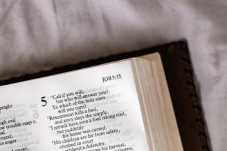 white printer paper on white textile