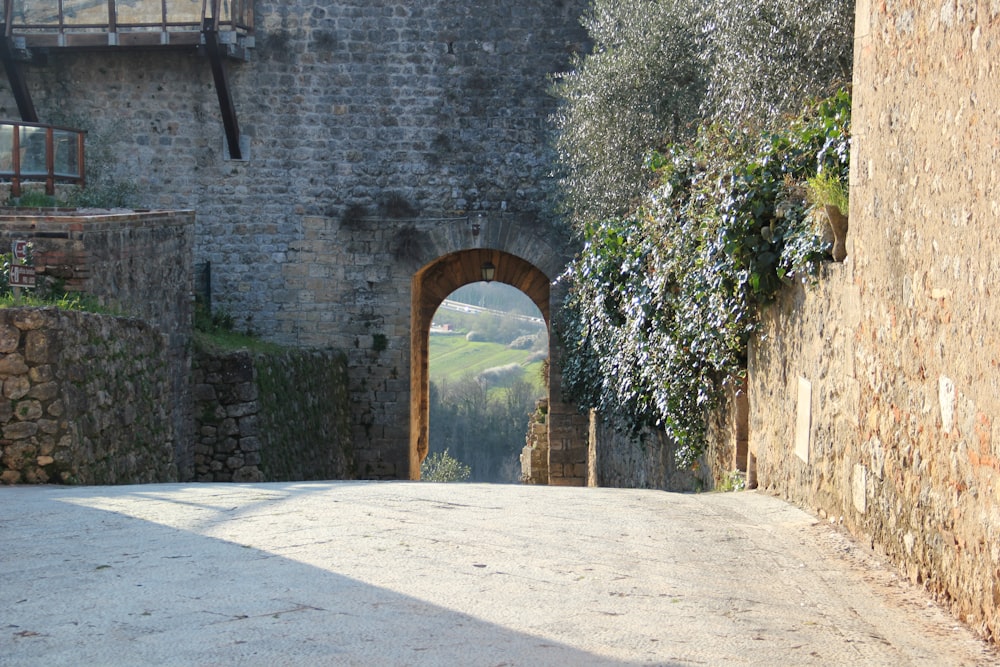 gray concrete arch near green trees during daytime