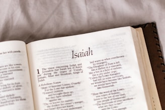 white book page on white textile