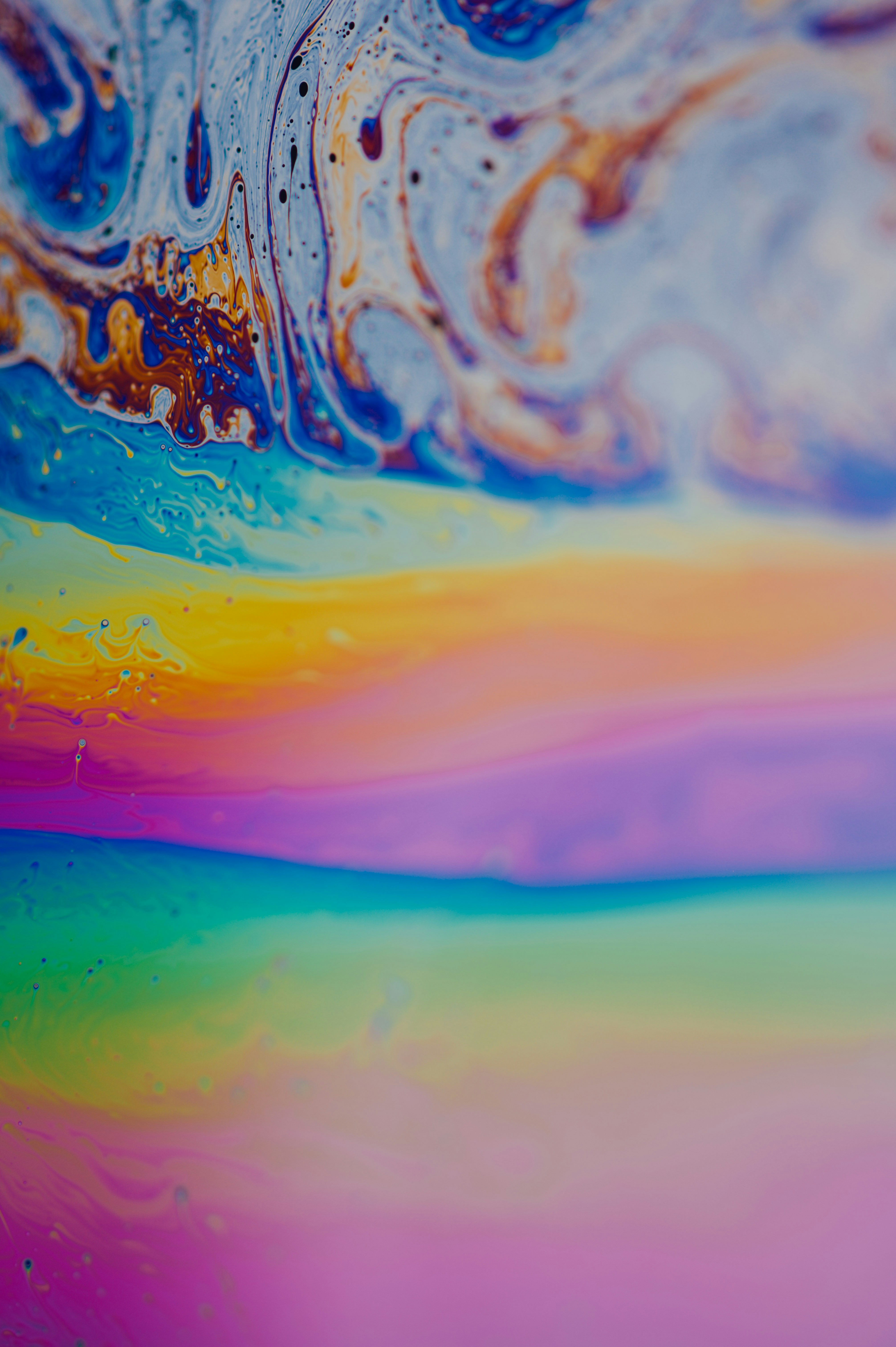 Photo by chuttersnap