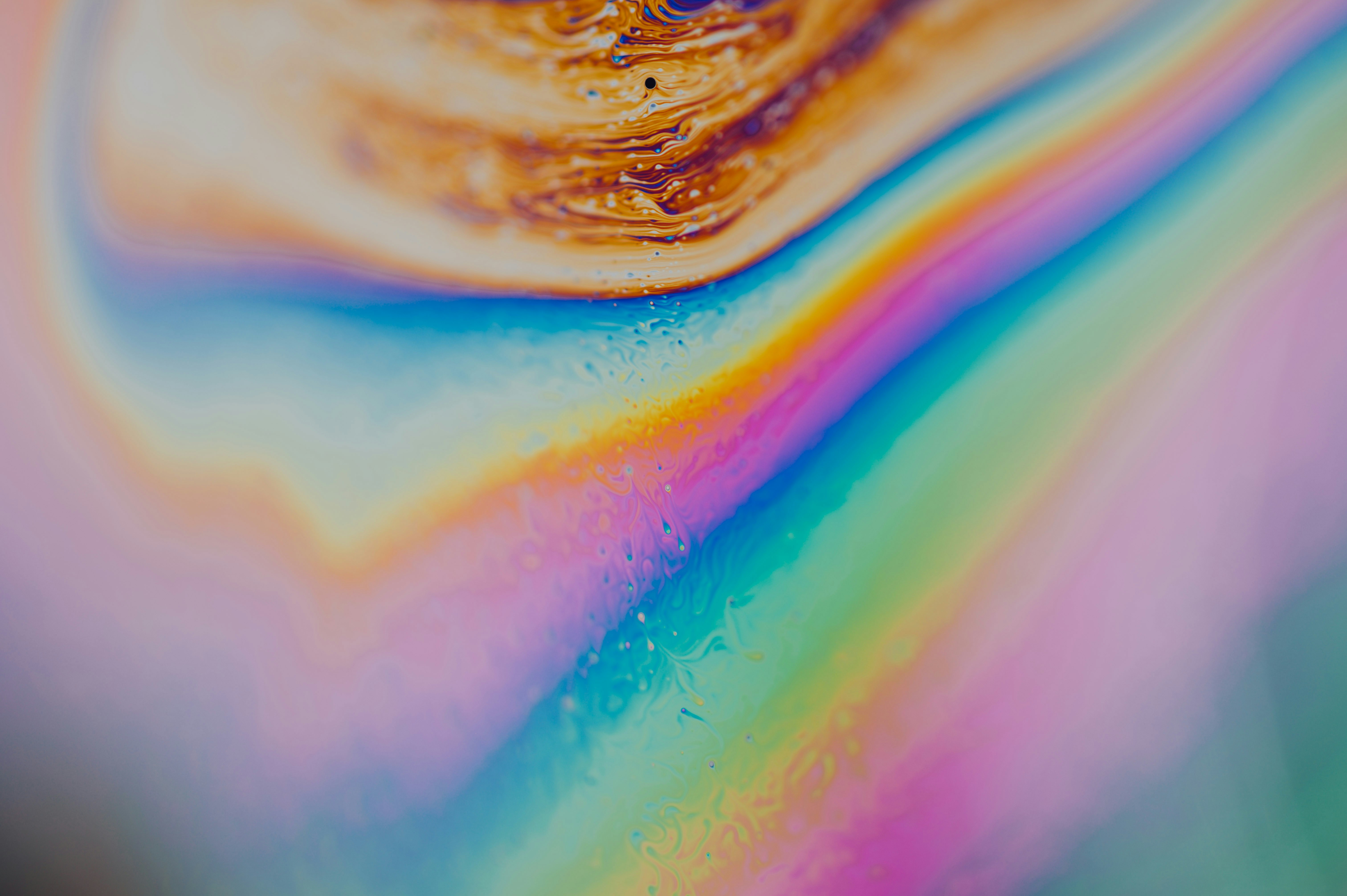 Photo by chuttersnap