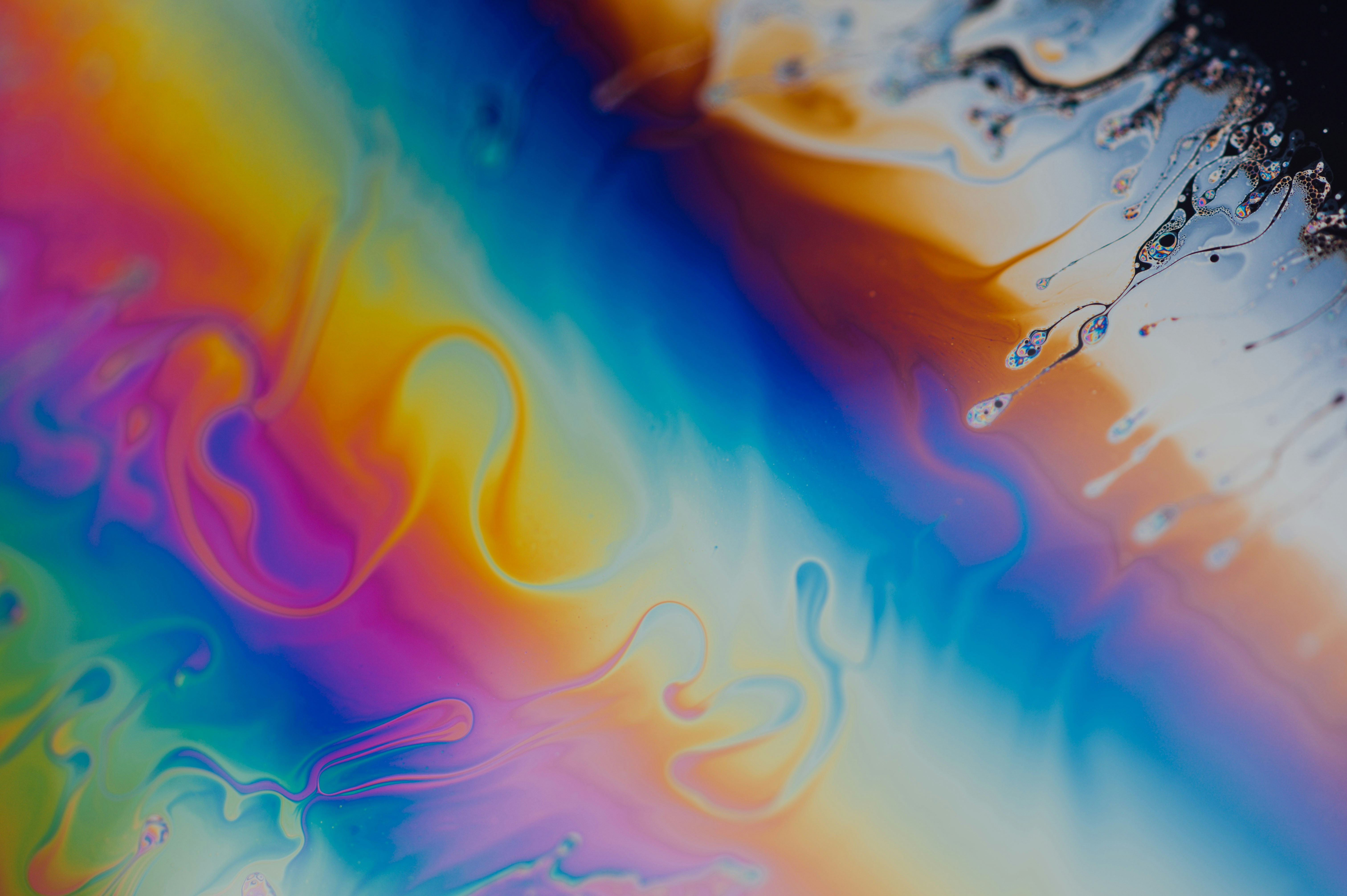 Photo by chuttersnap