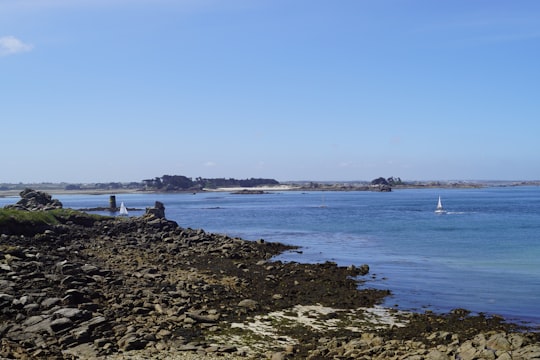 people on beach during daytime in Île de Batz France