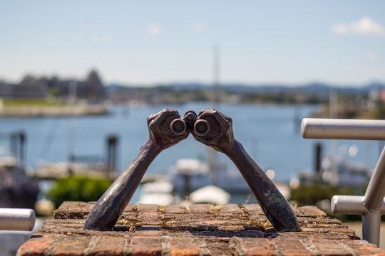 white binoculars on brown wooden table in Victoria Canada
