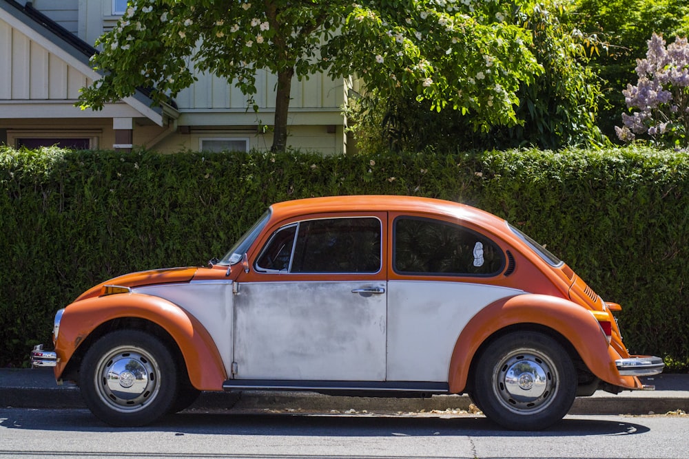 red and white volkswagen beetle parked on roadside during daytime