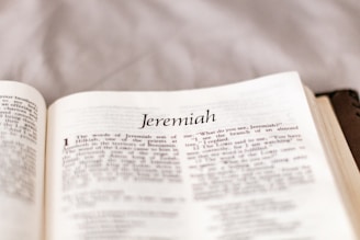 white printer paper on pink textile