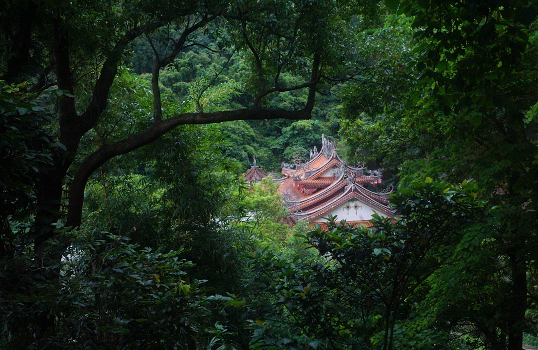 Forest photo spot Taipei Taipei City