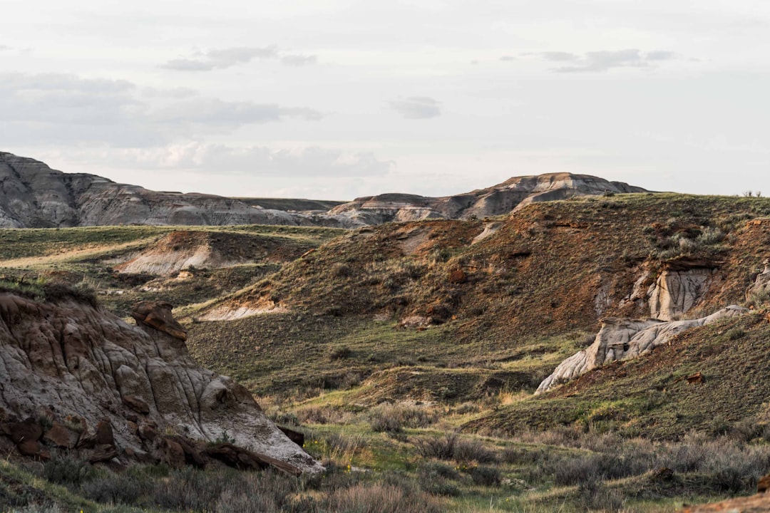 Travel Tips and Stories of Dinosaur Provincial Park in Canada