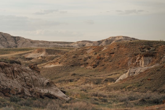 brown mountain under white sky during daytime in Dinosaur Provincial Park Canada