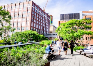 people walking on sidewalk near green trees and brown concrete building during daytime