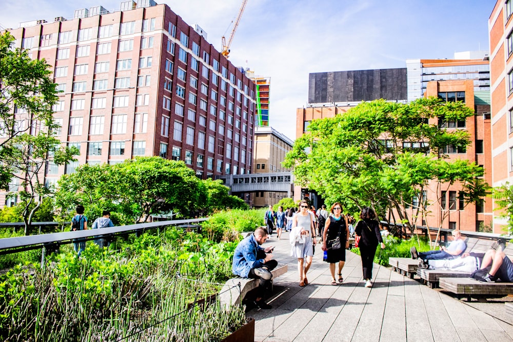 people walking on sidewalk near green trees and brown concrete building during daytime