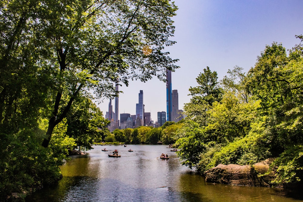 a river with boats in it surrounded by trees