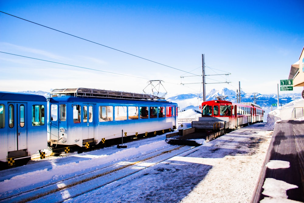 red and blue train on rail road during daytime