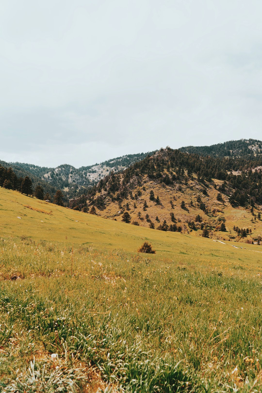 green grass field near mountains during daytime