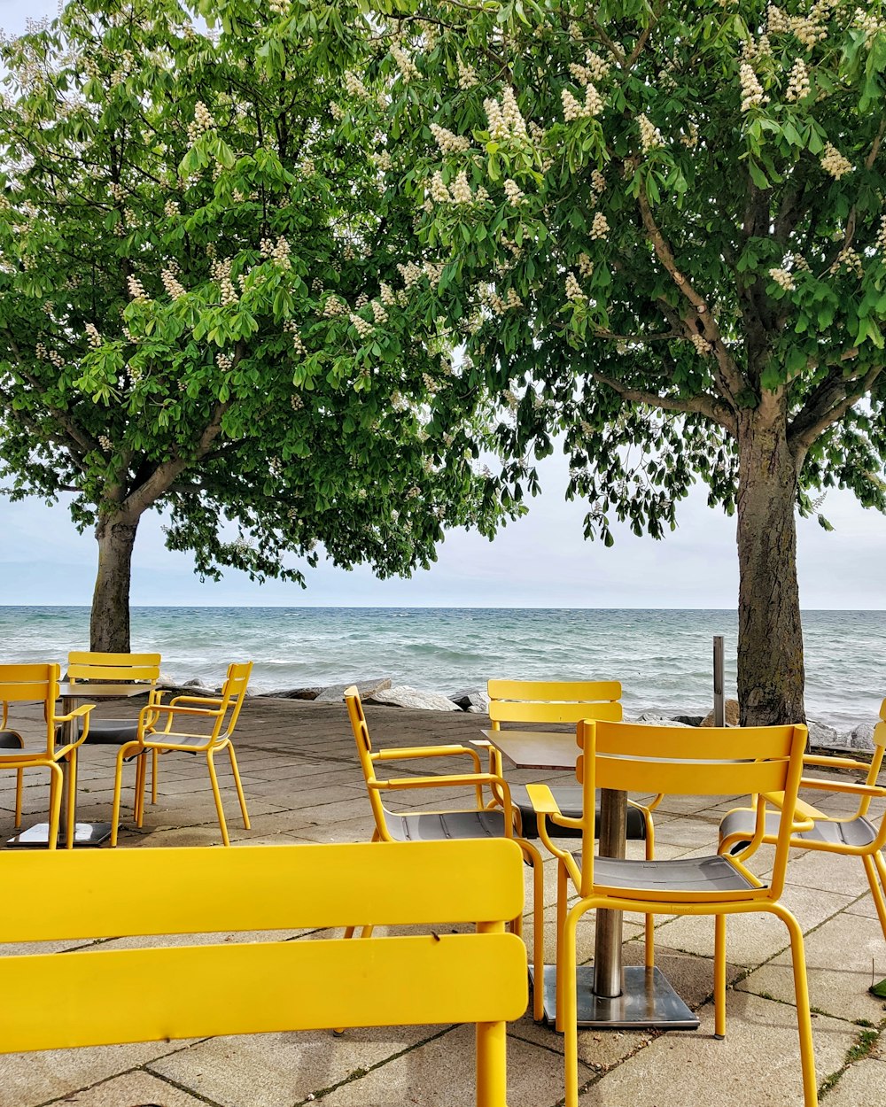 낮 동안 수역 근처의 노란색과 갈색 나무 의자