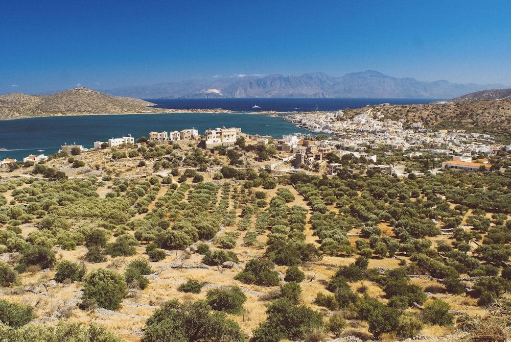 Veduta aerea della città vicino allo specchio d'acqua durante il giorno