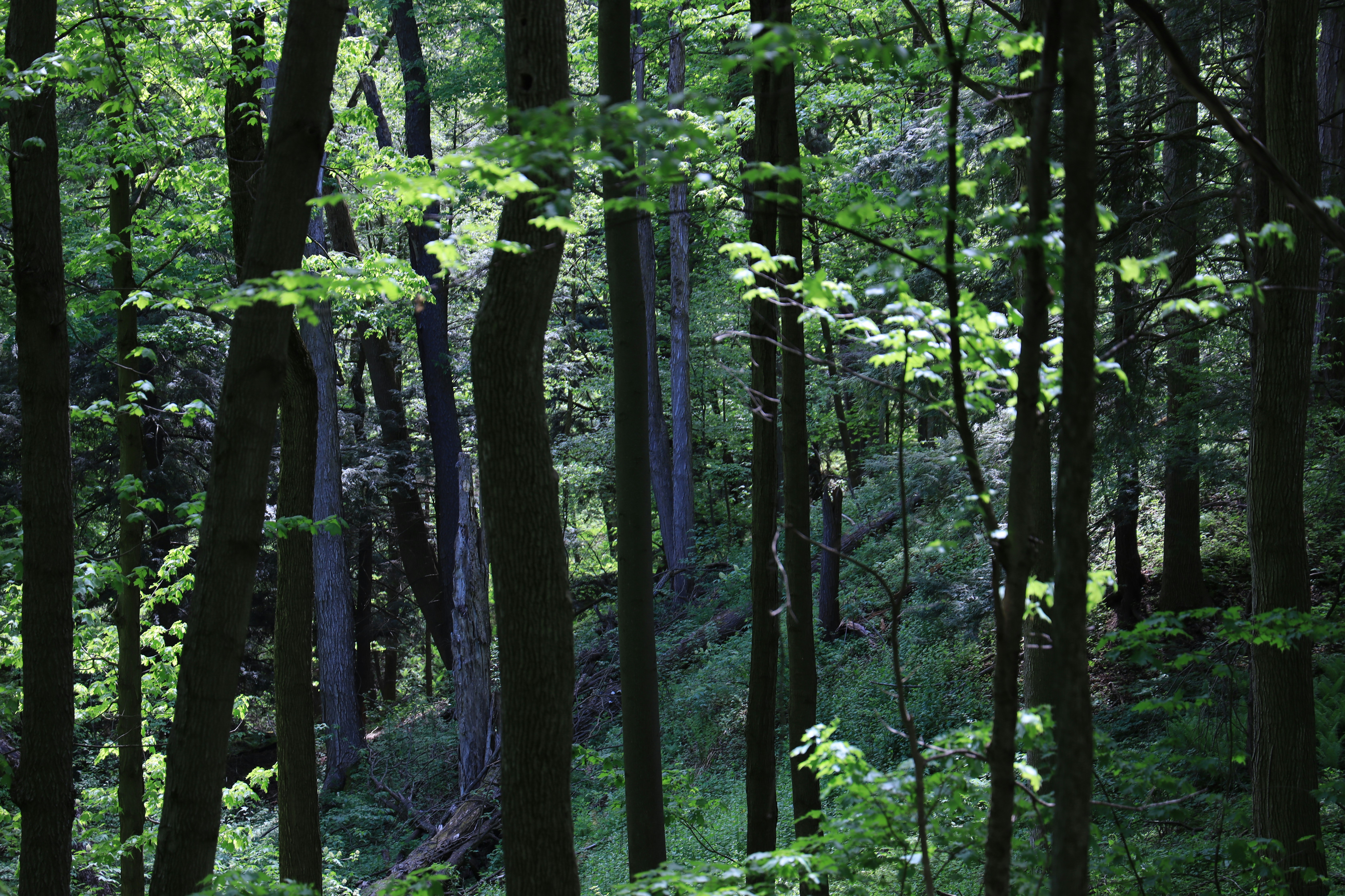 Photo by richardworks