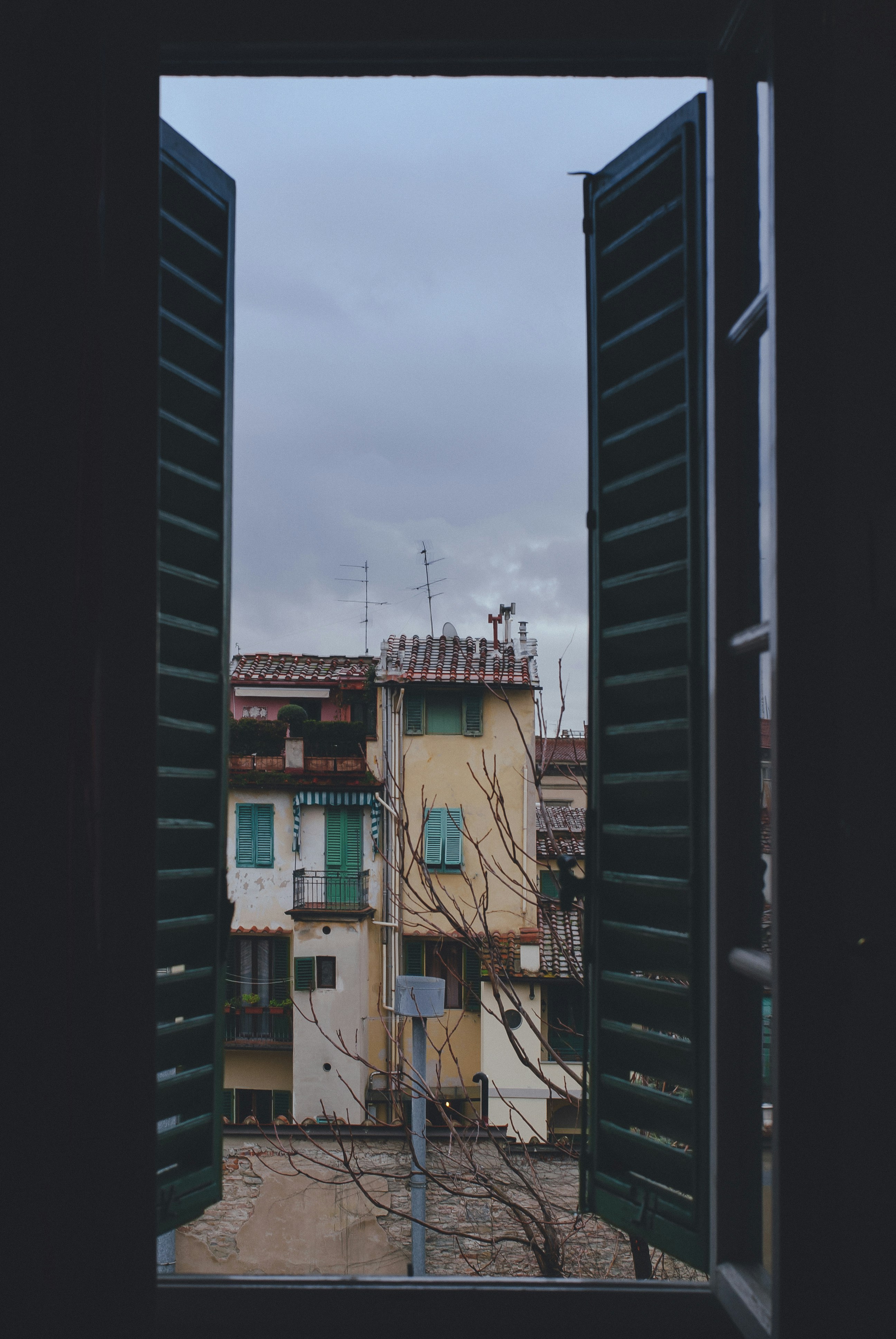 Photo by vonshnauzer