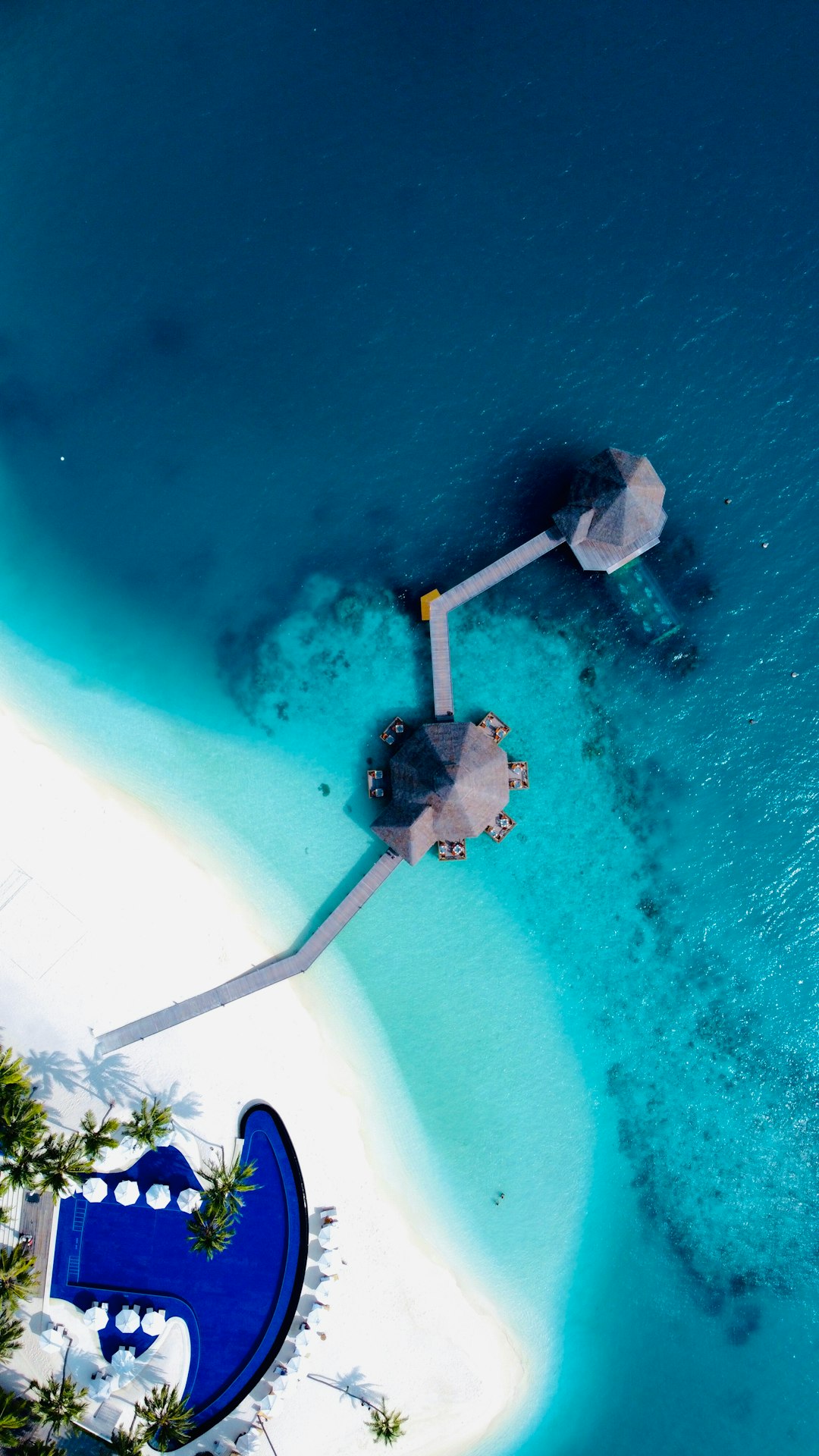 Swimming pool photo spot Maldive Islands Maldives