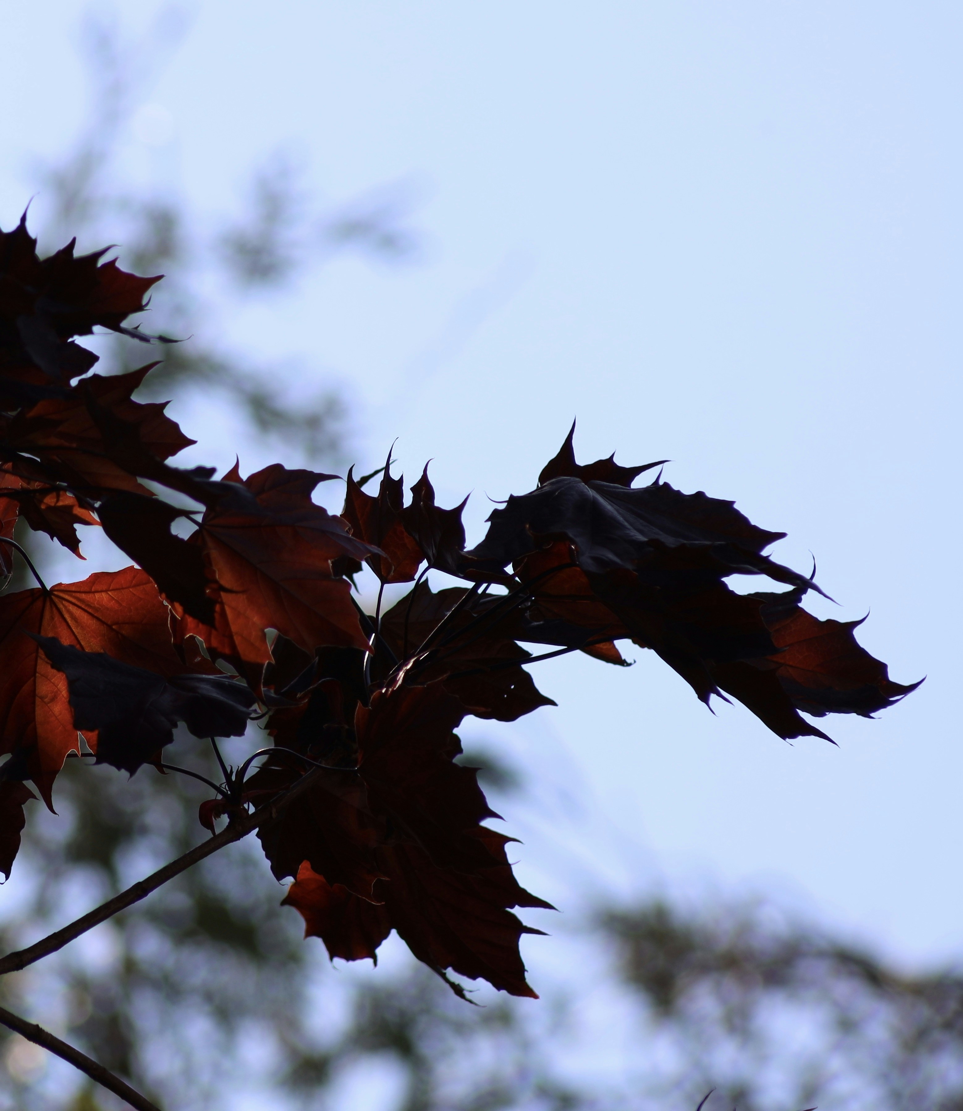 Photo by richardworks