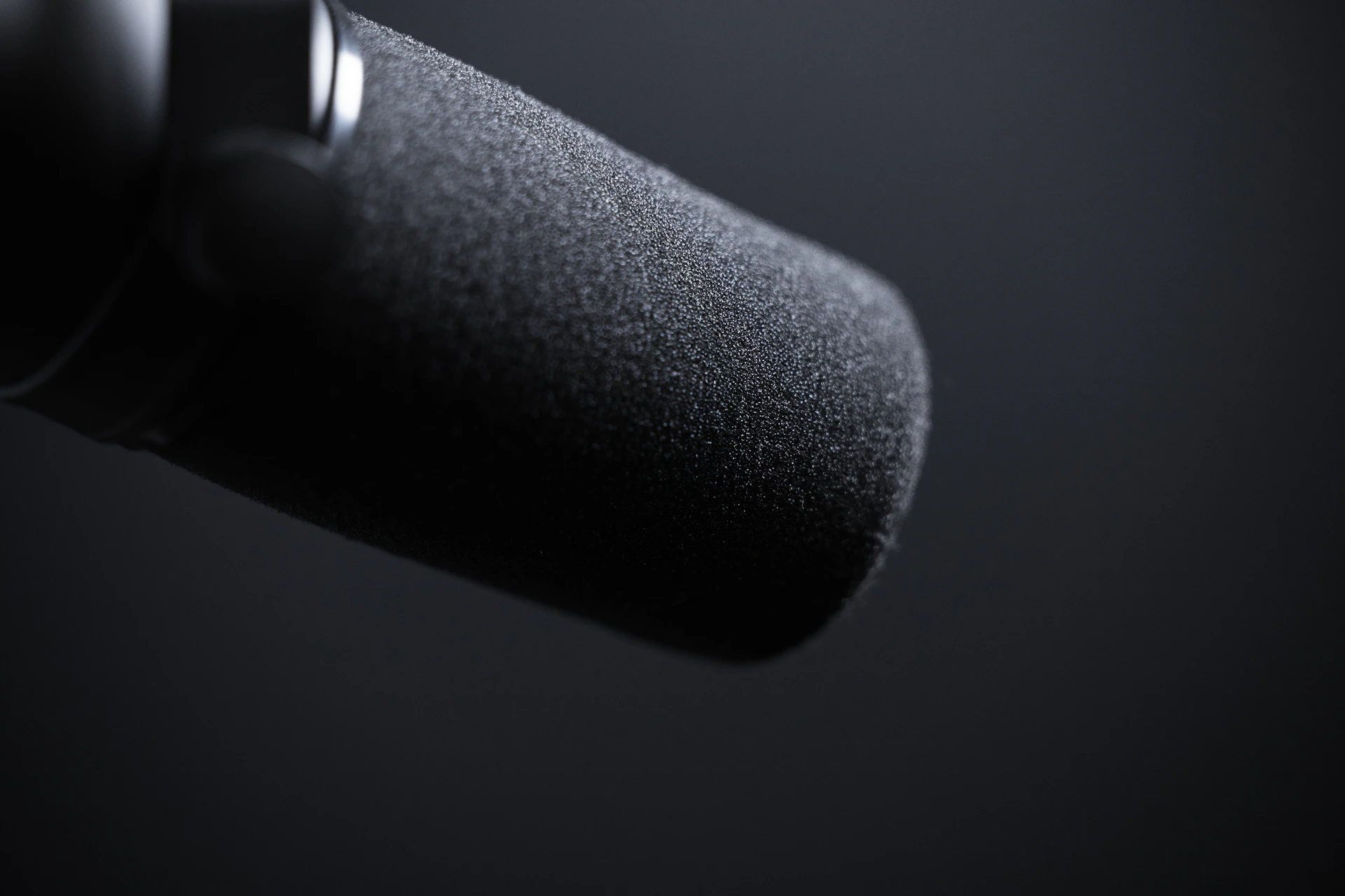 black and silver portable speaker