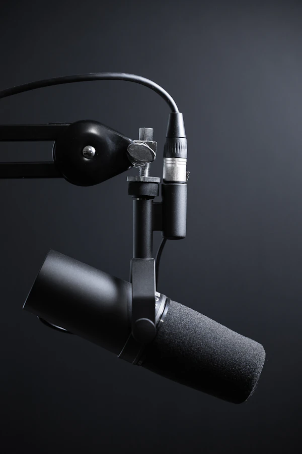 Wireless microphone