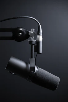 Microphone