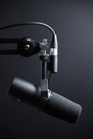 Studio microphone