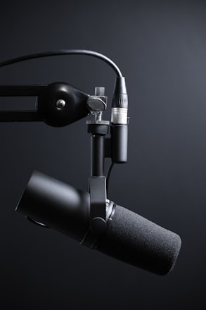Microphone setup for a recorded interview