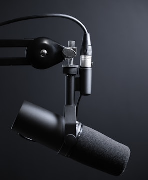 black and silver microphone with stand