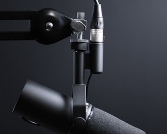 black and silver microphone with stand