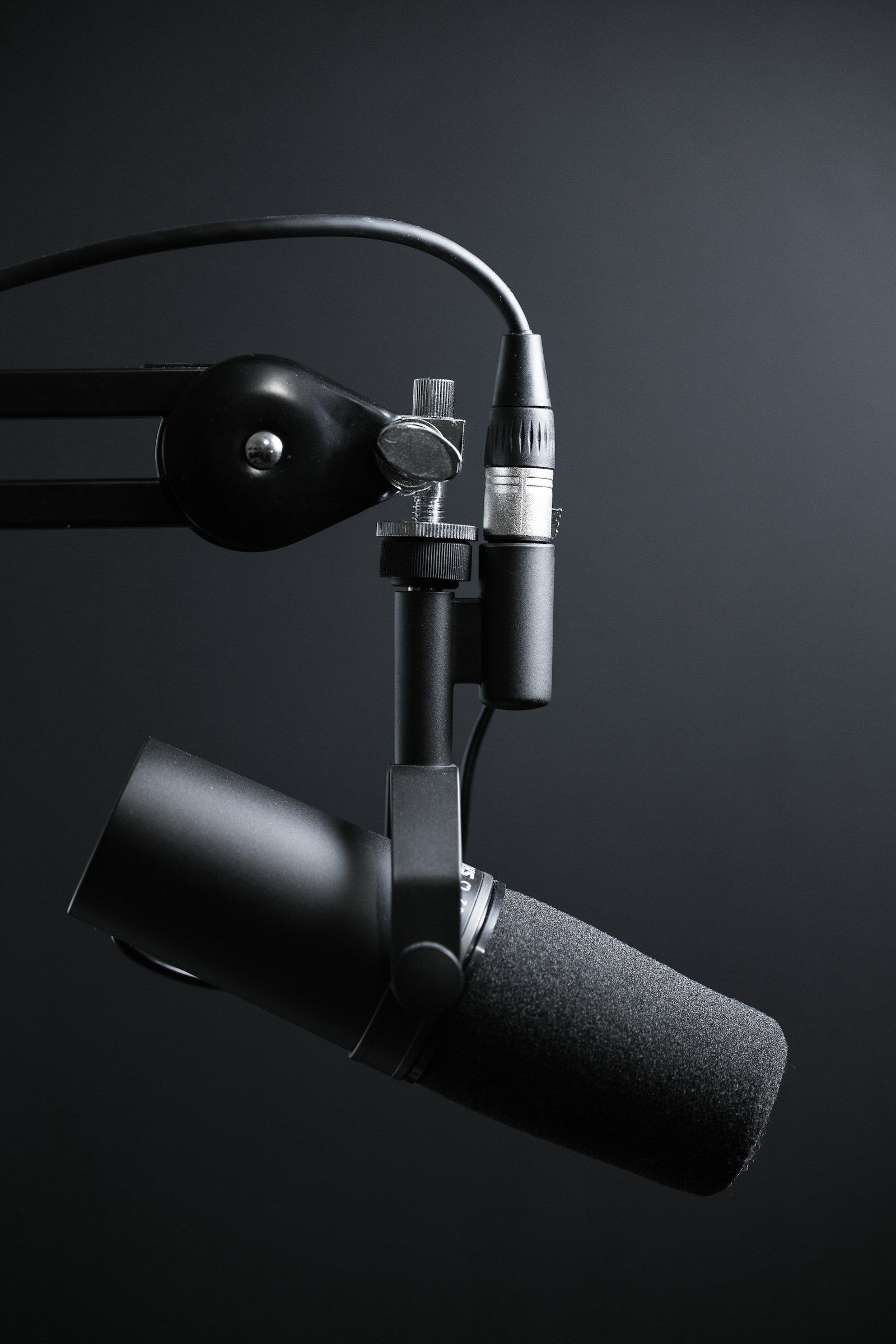 Microphone 2