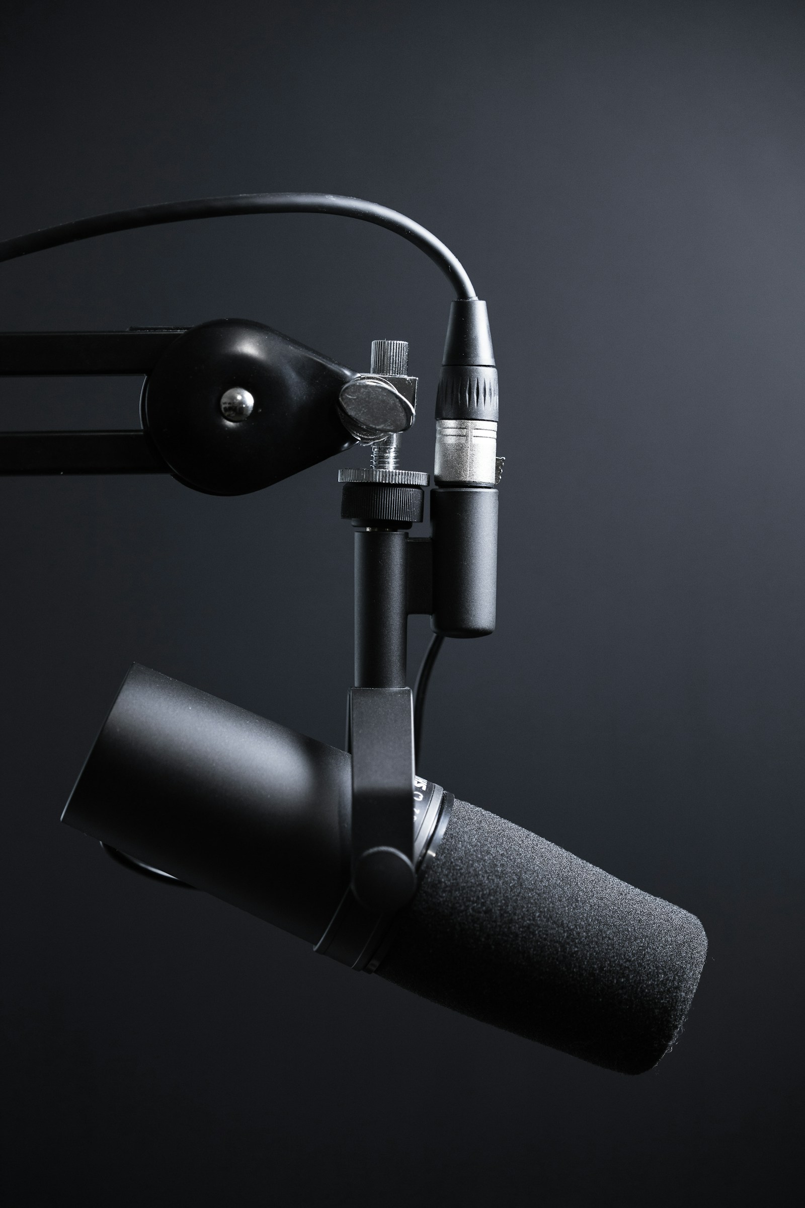 Professional microphone and audio equipment for voice-over recording