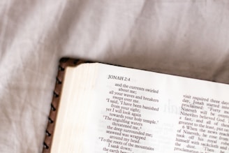 Close-up of a soft cotton shirt showcasing a hand-drawn Bible verse in rustic style.