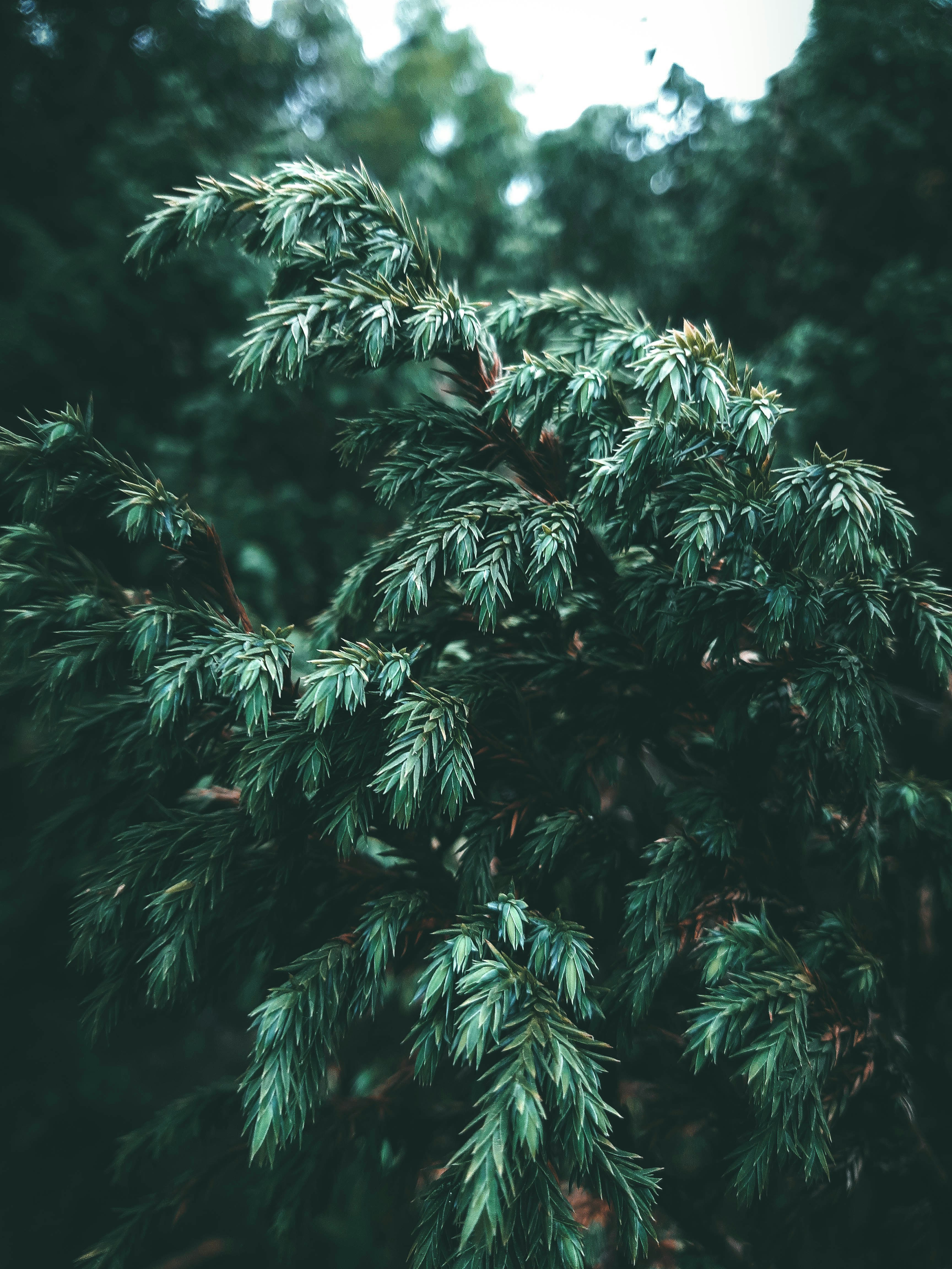 Photo by arunavat105