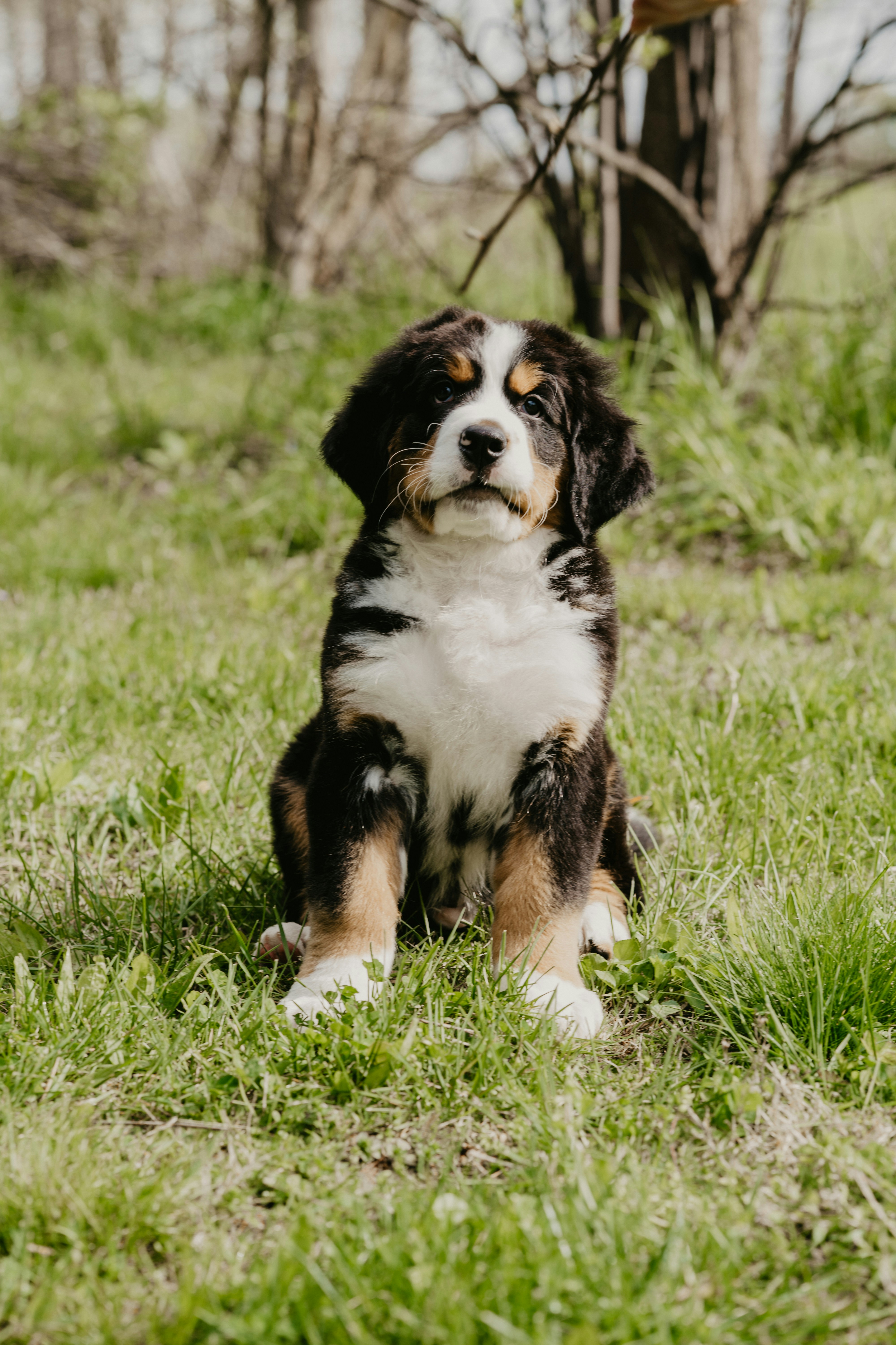 Photo by courtneymcook