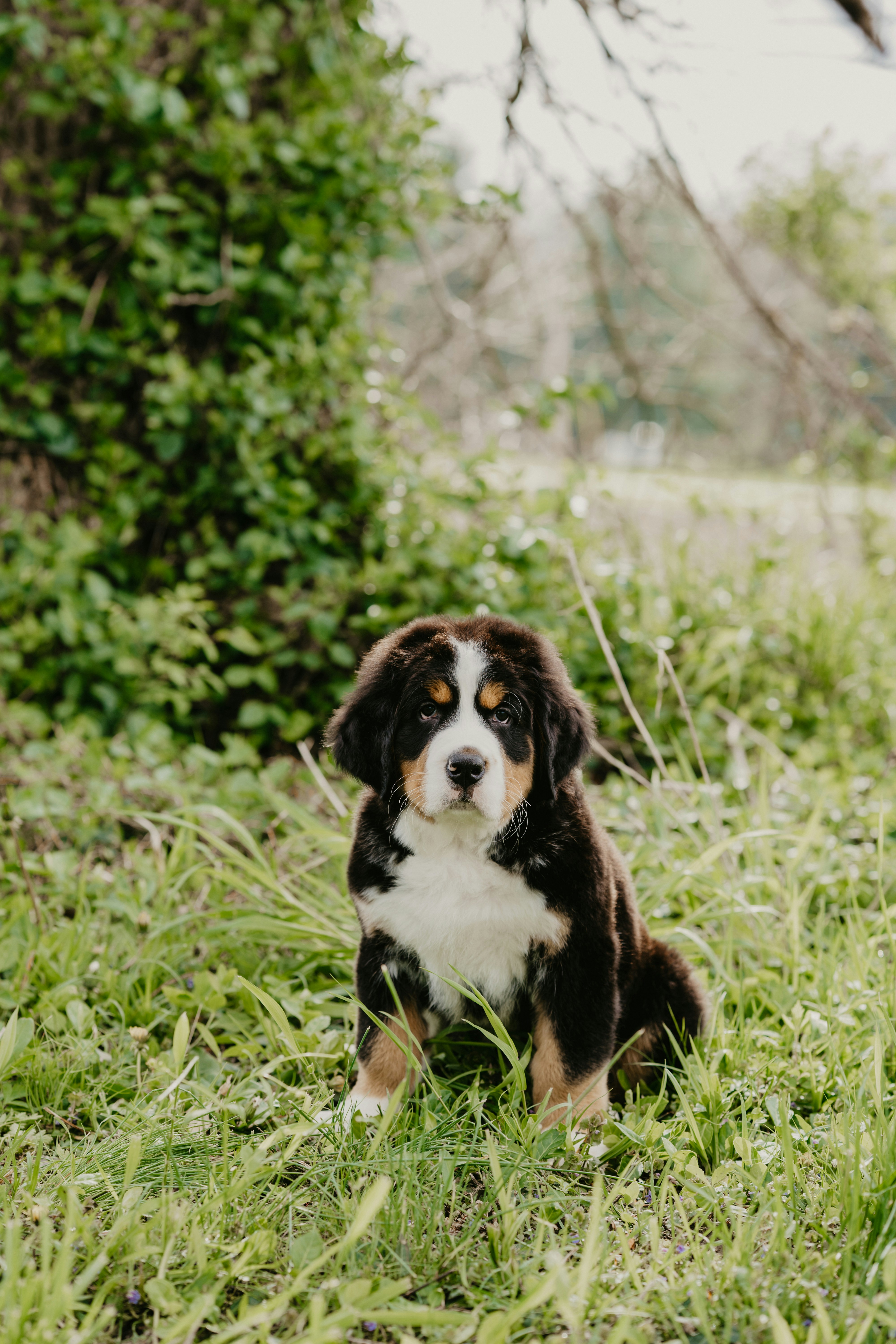 Photo by courtneymcook