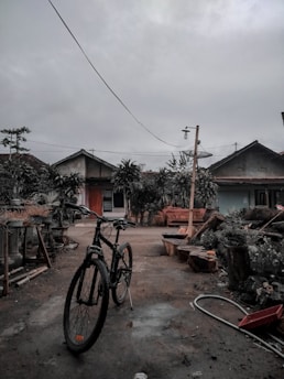 A bicycle stands on a paved path in a residential area with overcast skies. There are houses with triangular roofs in the background, surrounded by lush green plants and trees. Various garden tools and objects are scattered around the area.