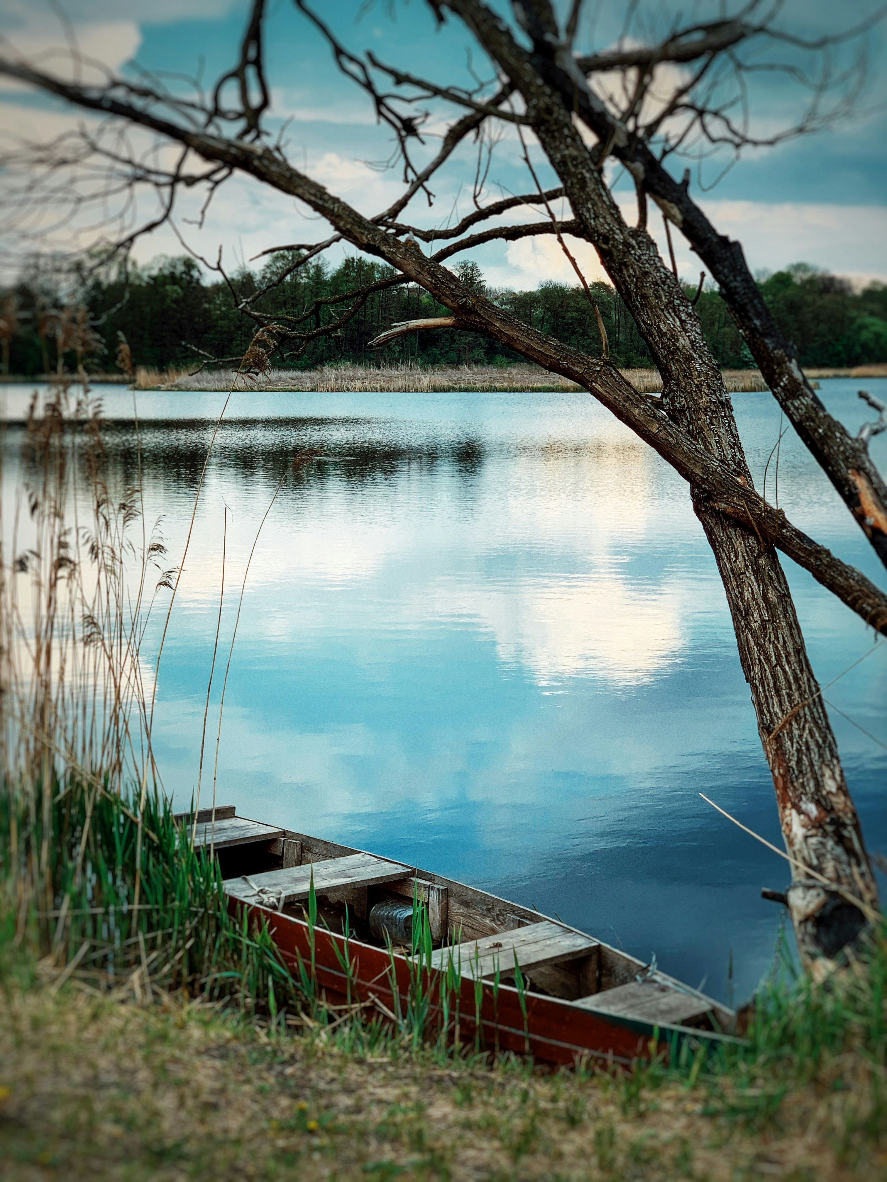 Photo by dizvio
