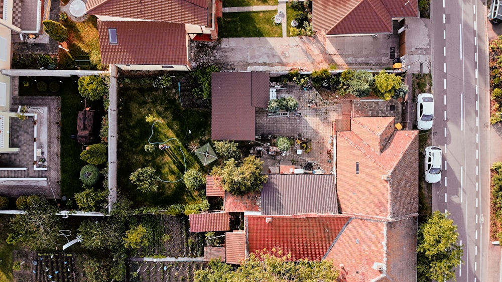 green trees beside brown concrete house during daytime