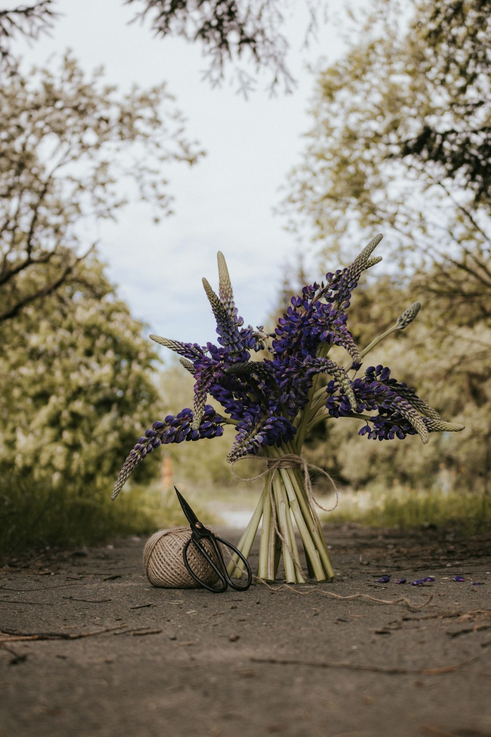 purple flowers in white wicker basket