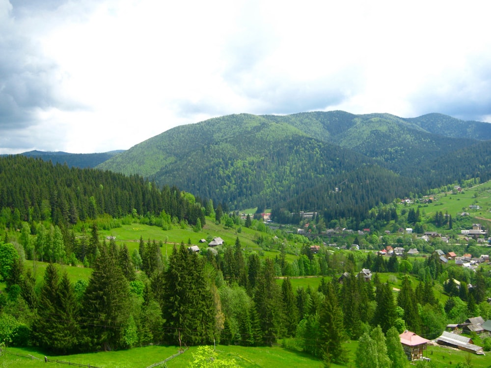 green trees on mountain under white sky during daytime