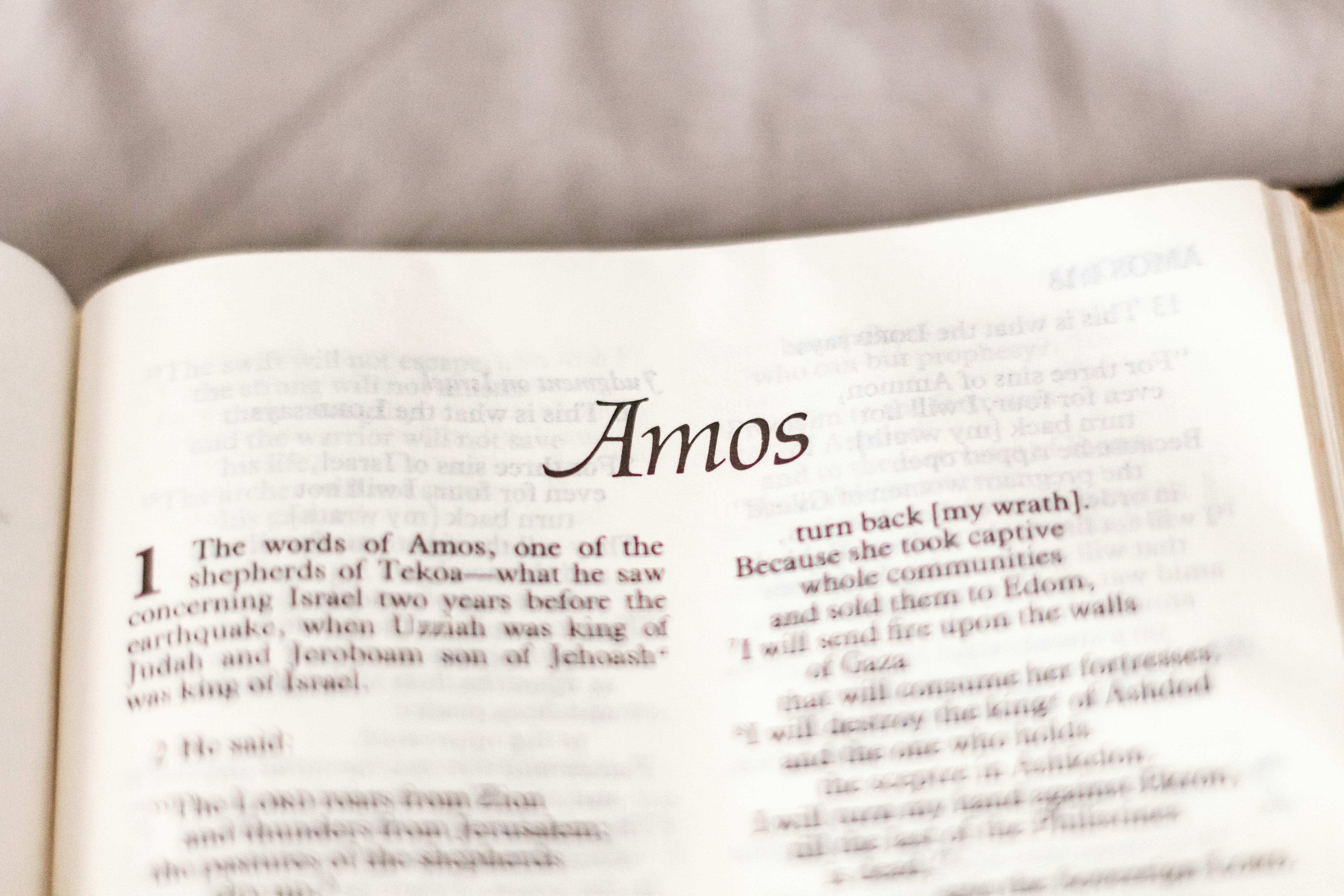 Amos 8 - Sixth Sunday after Pentecost