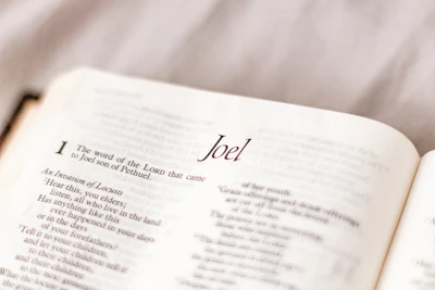 Close-up of an open e-book from the Blueprint Ministry Series showing detailed ministry tips.