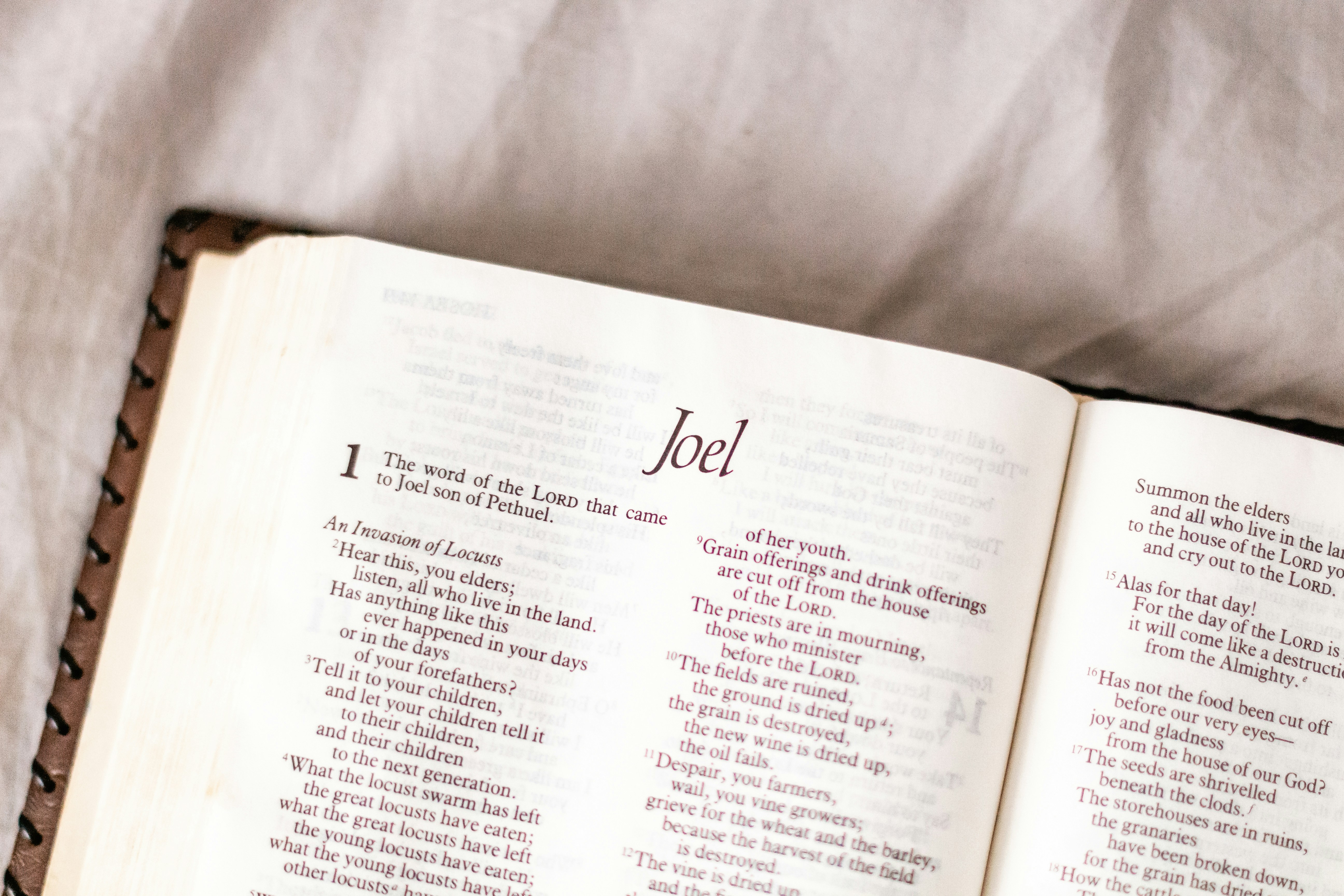 Setting the Page Title in a Blazor App